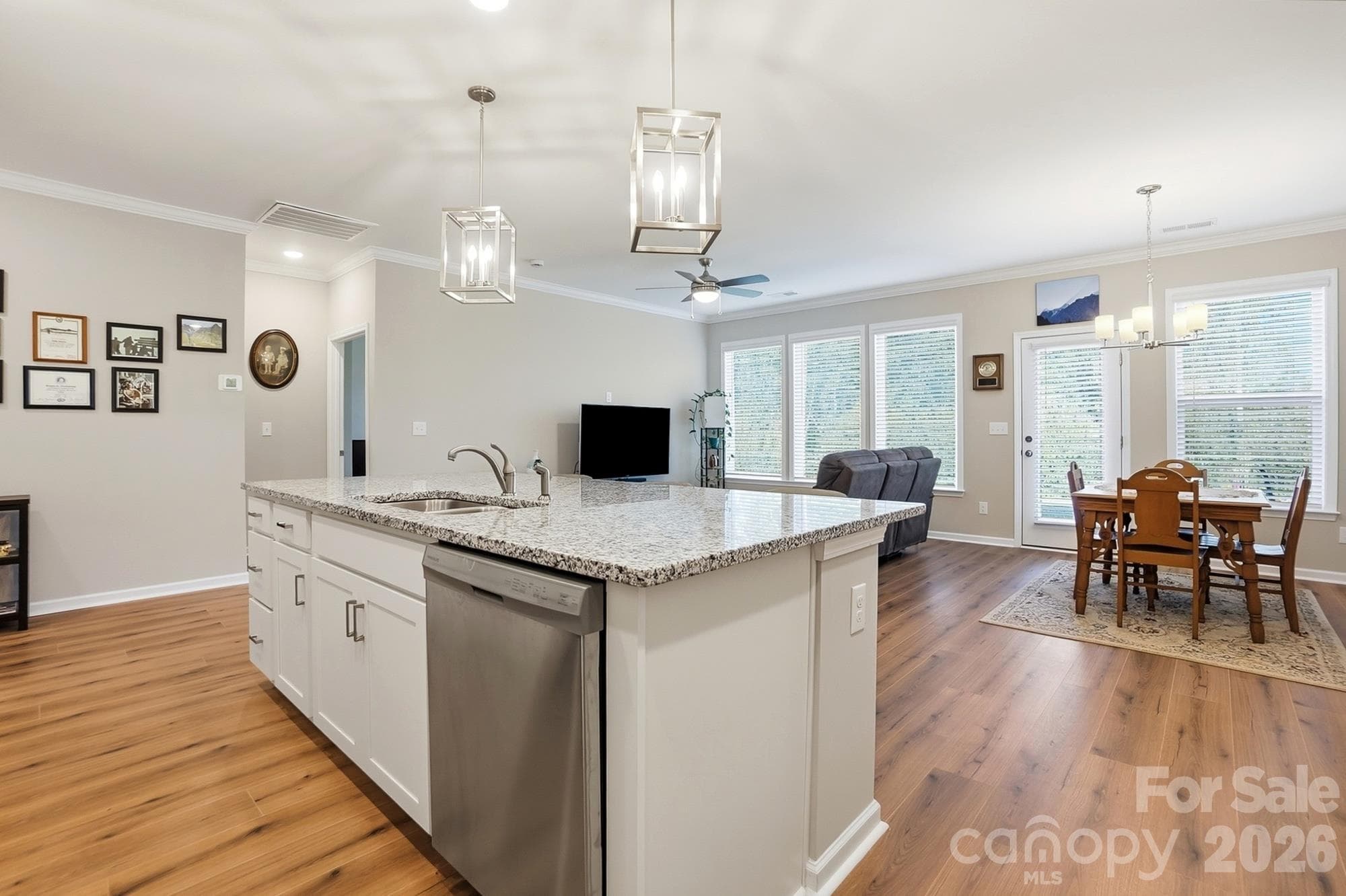 Single Family Residence at 1032 Ansley Park Drive, Indian Land, photo 6 of 27
