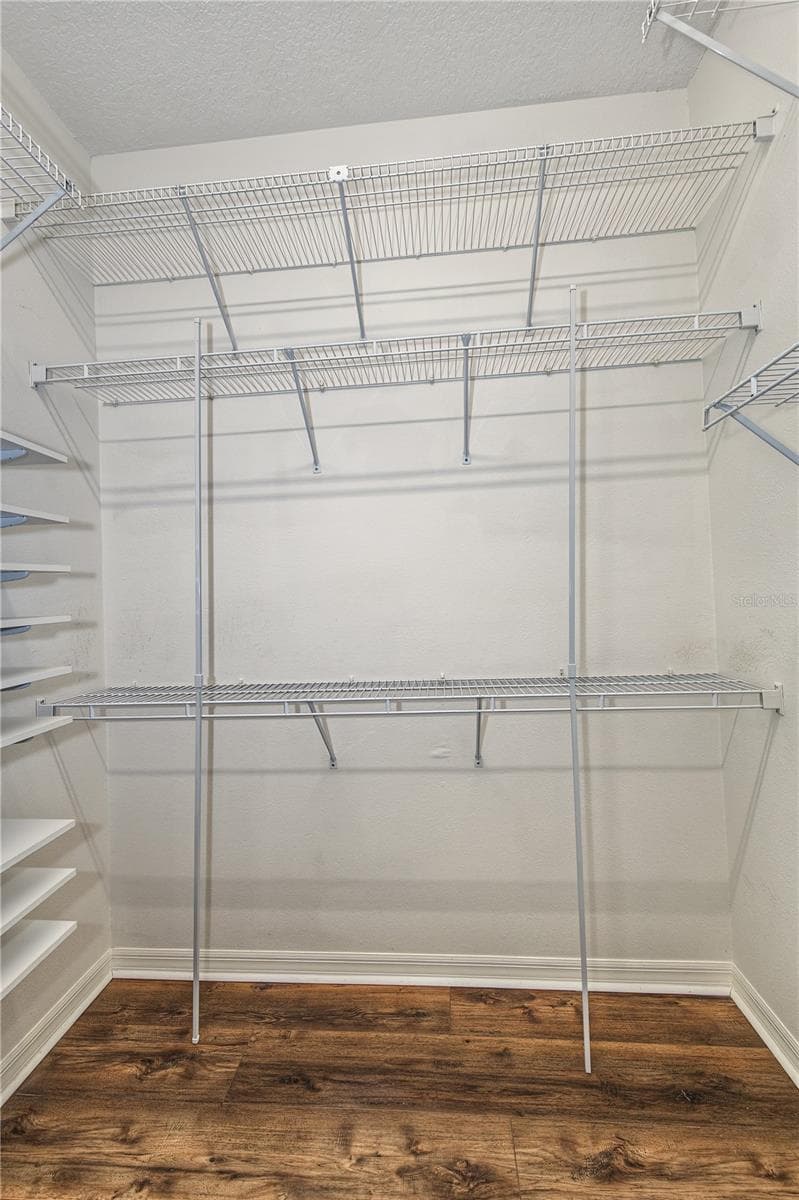 Primary Walk-in Closet - 4008 SILK OAK LN, PALM HARBOR