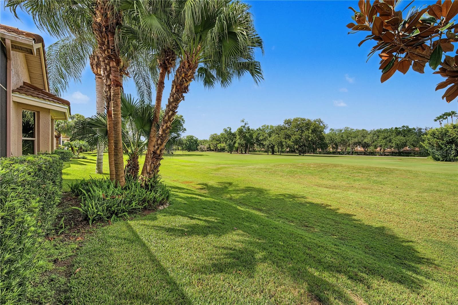 Hole 4 off the Lanai - 4008 SILK OAK LN, PALM HARBOR