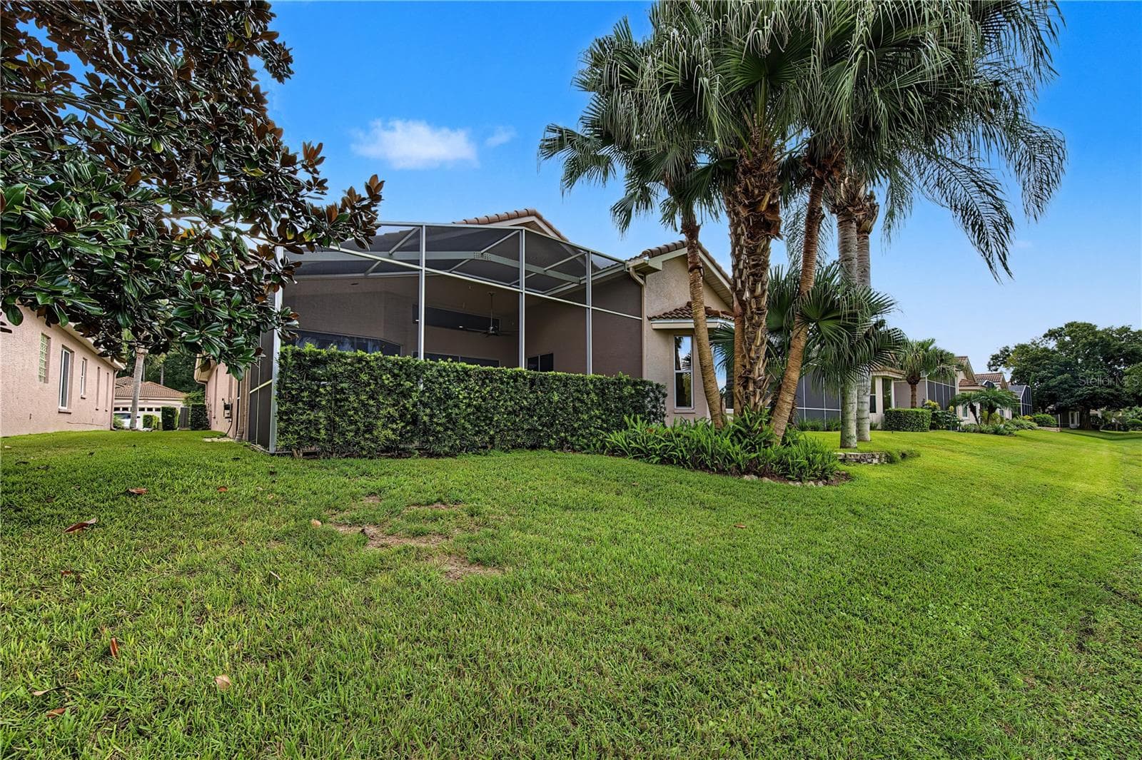 Backyard - 4008 SILK OAK LN, PALM HARBOR
