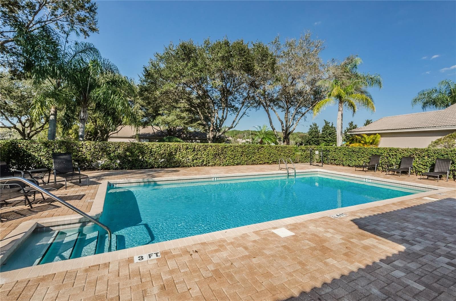 Community Pool - 4008 SILK OAK LN, PALM HARBOR
