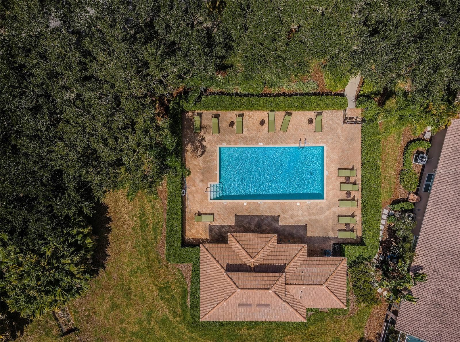 Community Pool - 4008 SILK OAK LN, PALM HARBOR