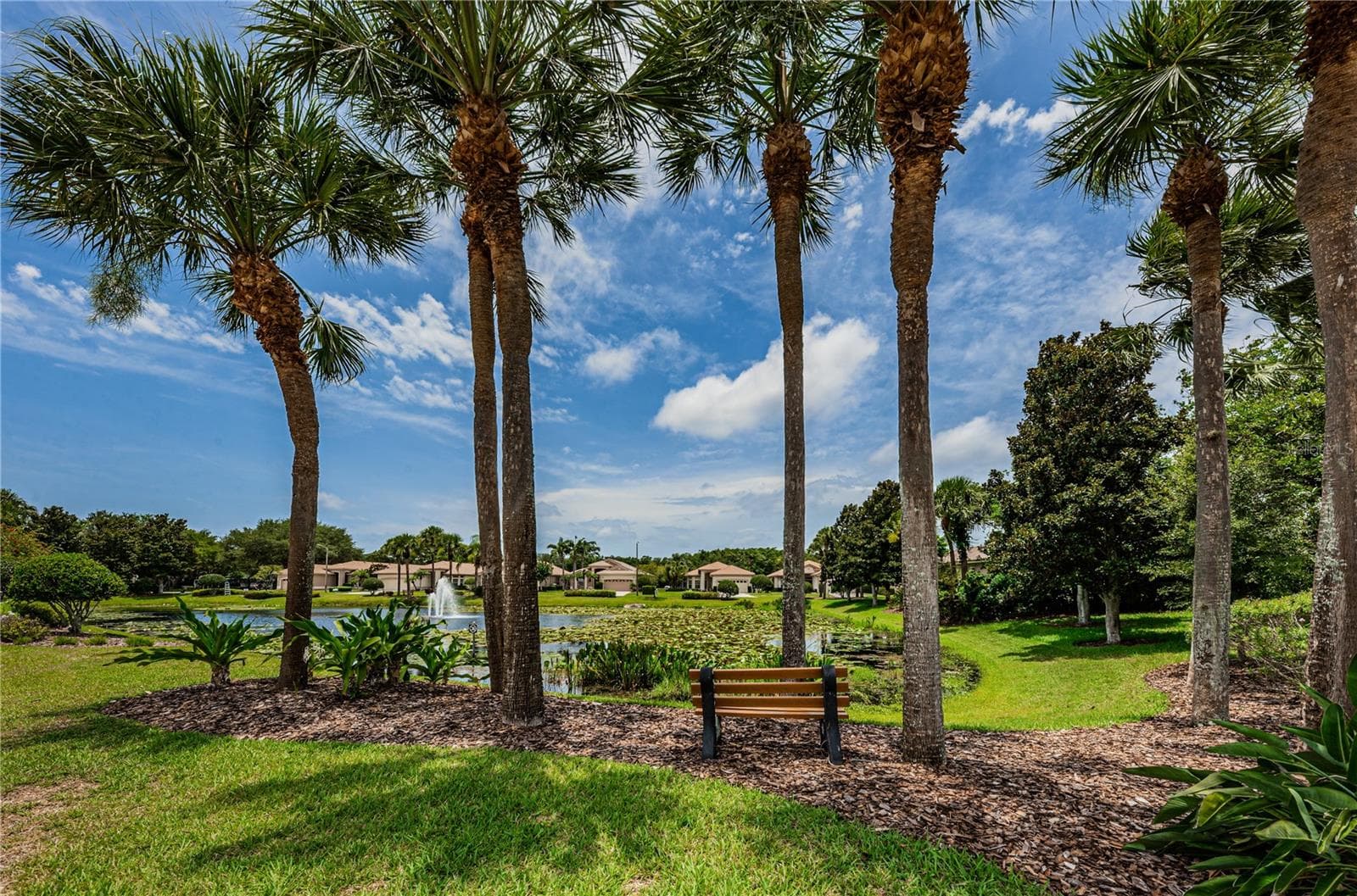 Oakmont - 4008 SILK OAK LN, PALM HARBOR