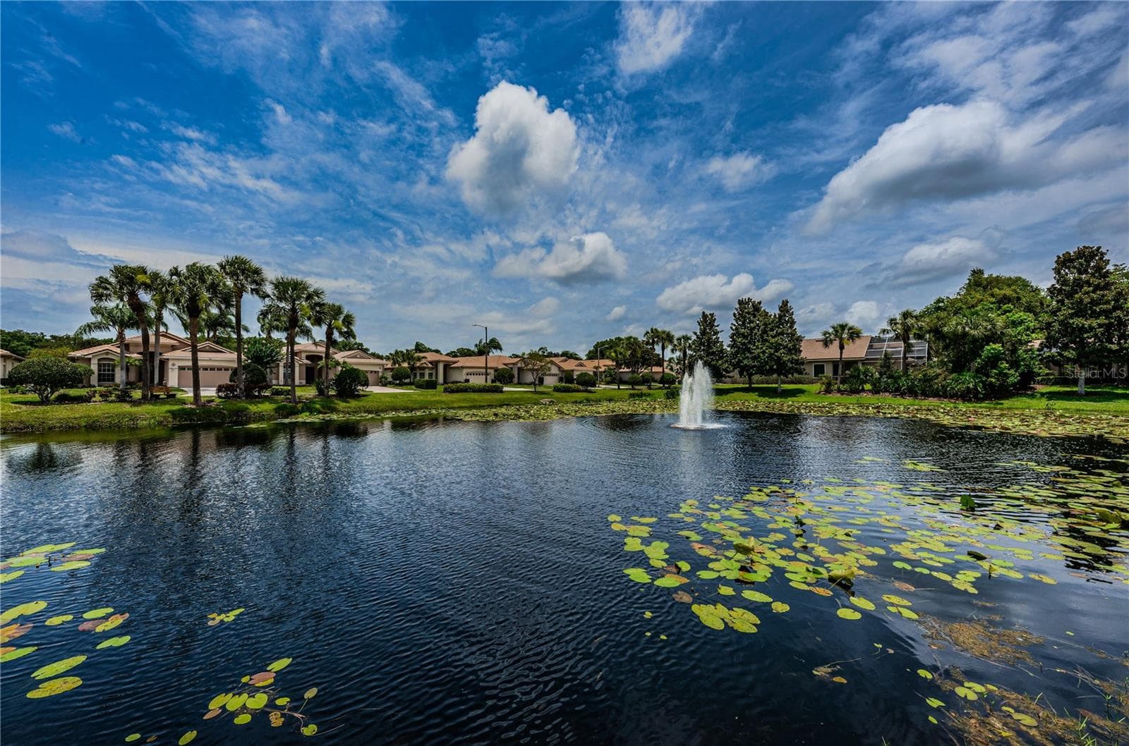 Oakmont - 4008 SILK OAK LN, PALM HARBOR