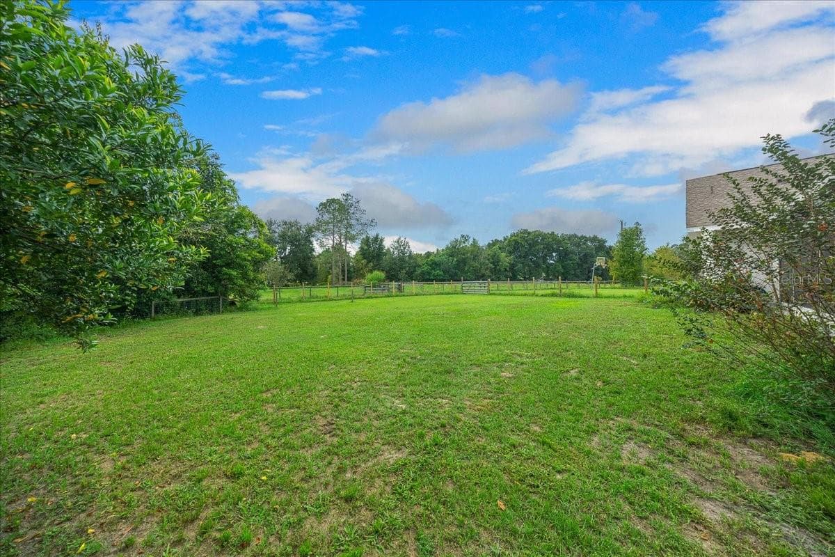 Back view - 14871 SE 41ST CT, SUMMERFIELD