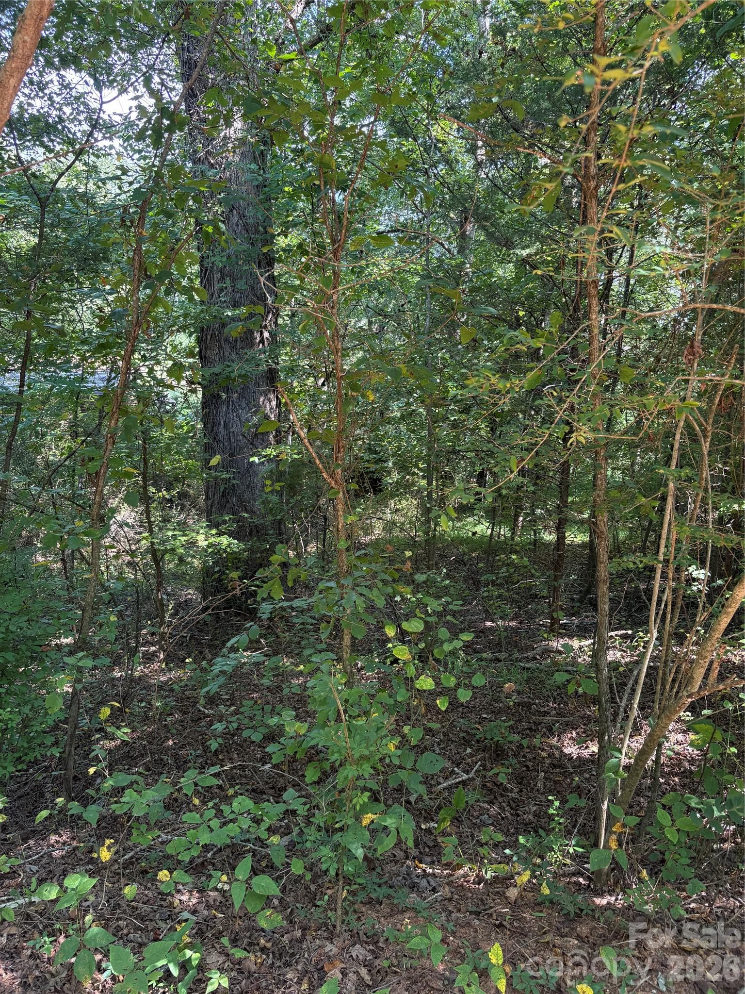 TBD Bedford Creek Road