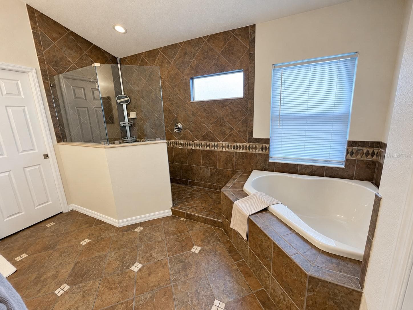 Single Family Residence at 11117 ANCIENT FUTURES DR, TAMPA, photo 30 of 52