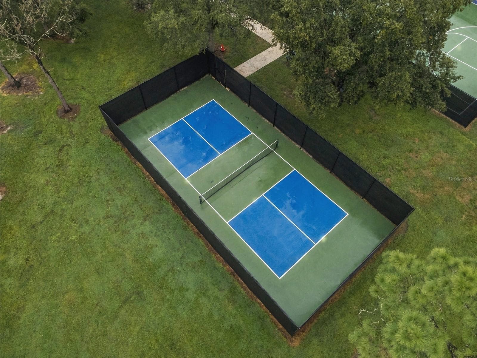 Single Family Residence at 11117 ANCIENT FUTURES DR, TAMPA, photo 51 of 52