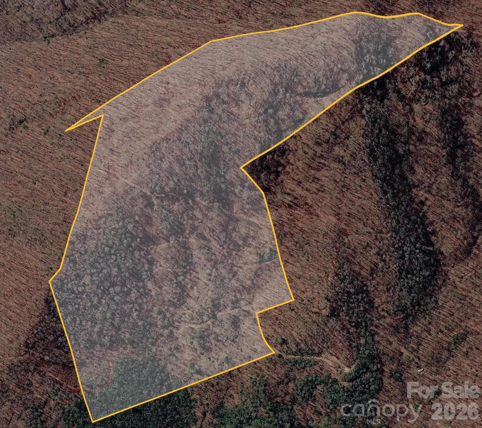 Google Earth 3d - 0 Wiggins Creek Road, Bryson City
