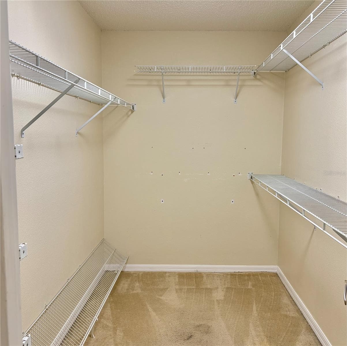 Walk-in Closet - 8123 BESSEMER AVE, NORTH PORT