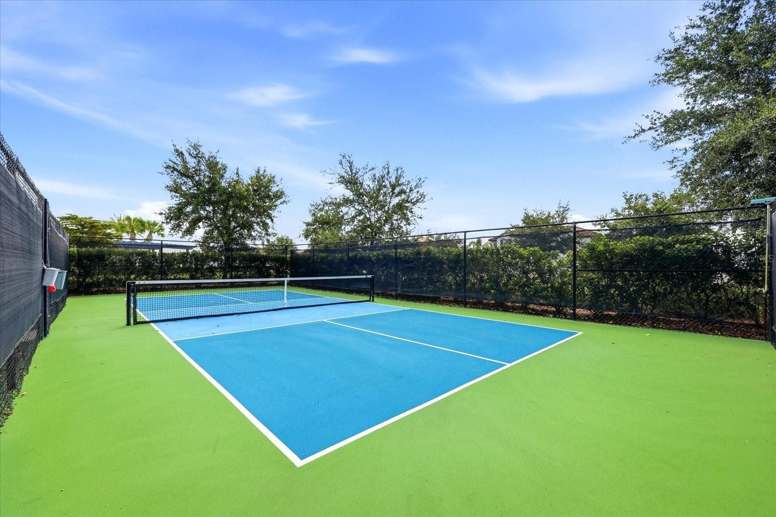 PRIVATE VILLA PICKLEBALL - 2324 SPRINGHAVEN LN, LAKEWOOD RANCH