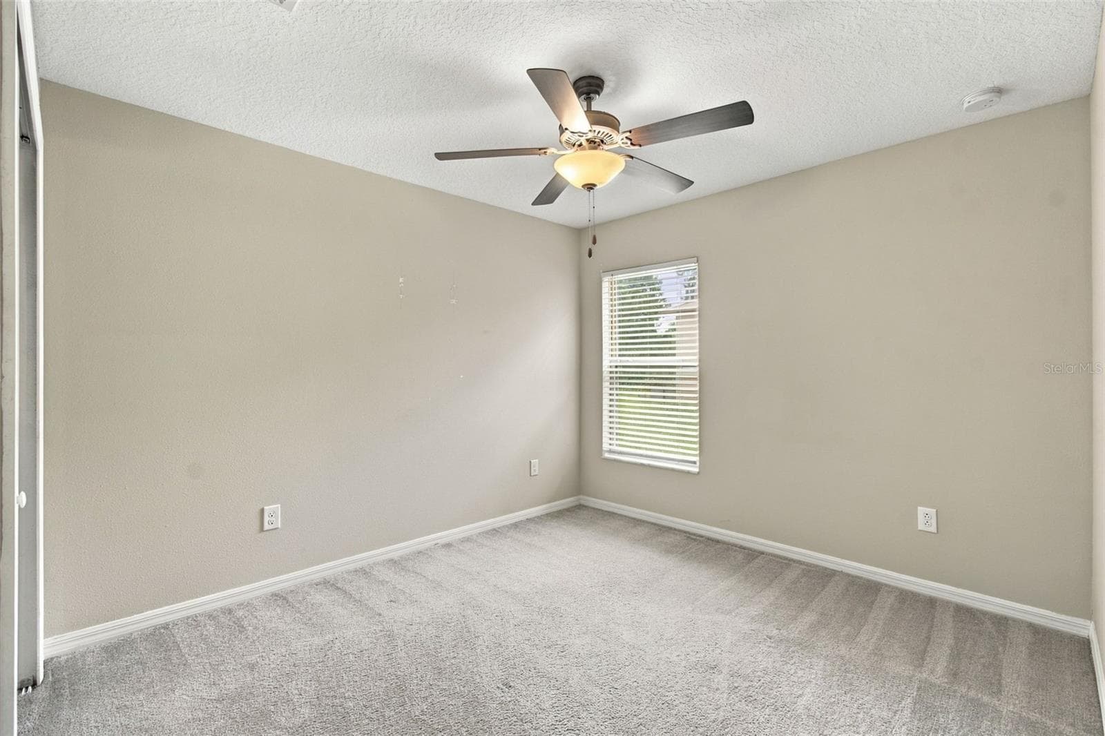 Single Family Residence at 12903 WILDFLOWER MEADOW DR, RIVERVIEW, photo 39 of 87