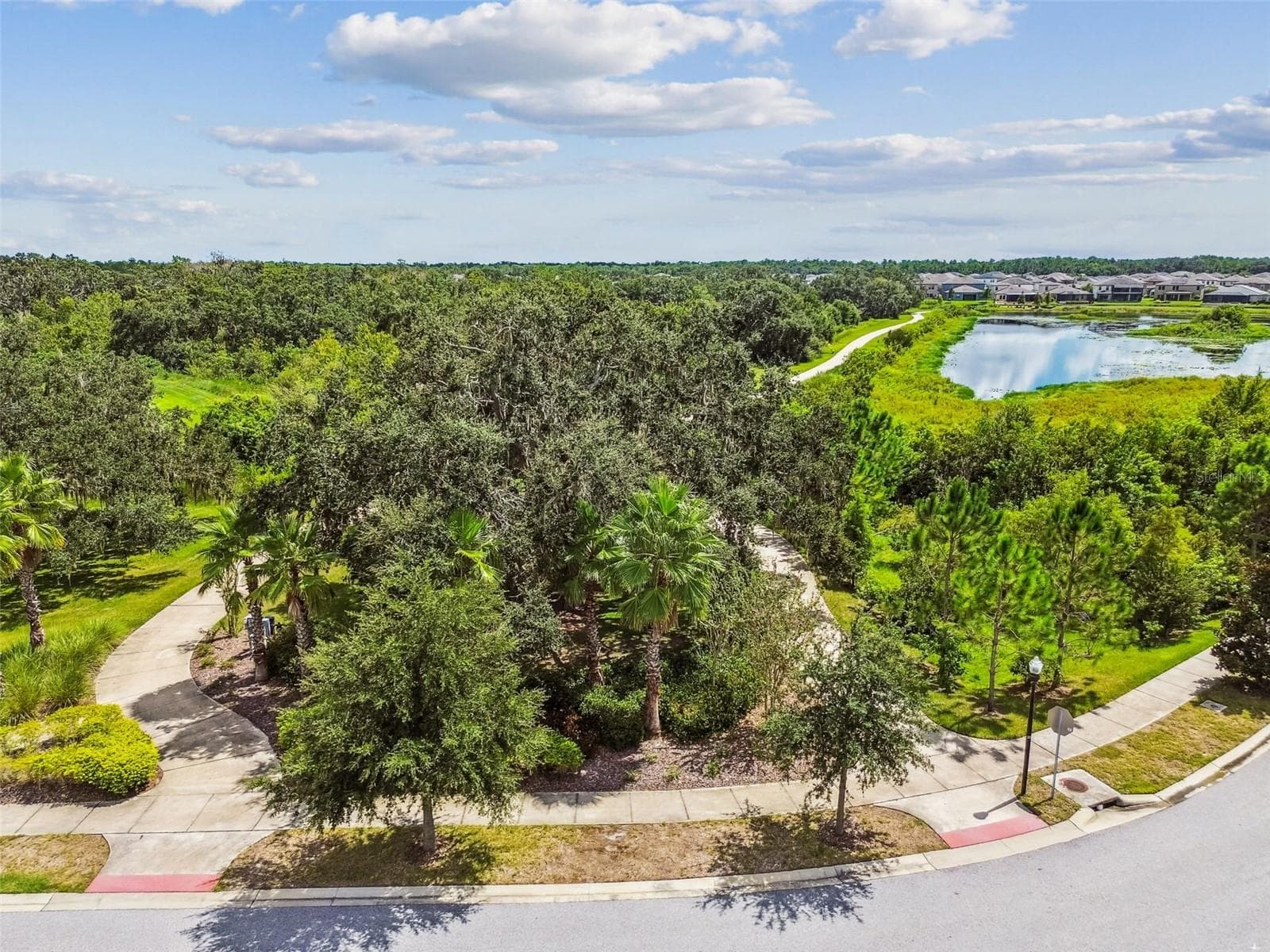 Single Family Residence at 12903 WILDFLOWER MEADOW DR, RIVERVIEW, photo 57 of 87