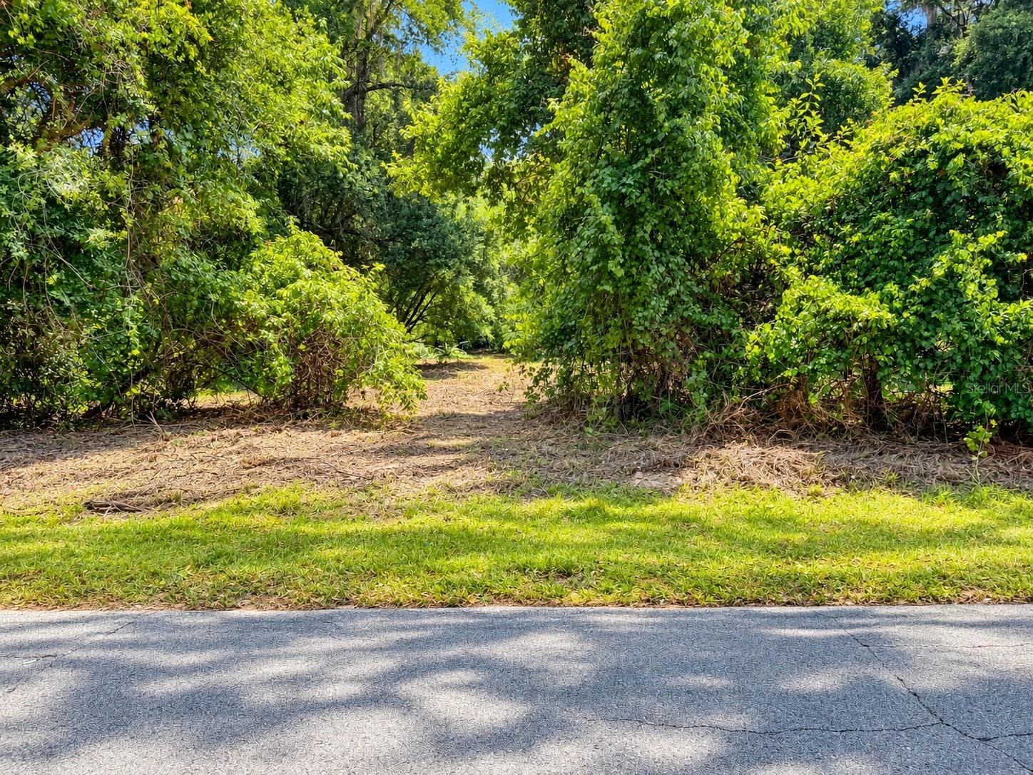 2.8 Acres - 26714 BLOOMFIELD AVE, YALAHA
