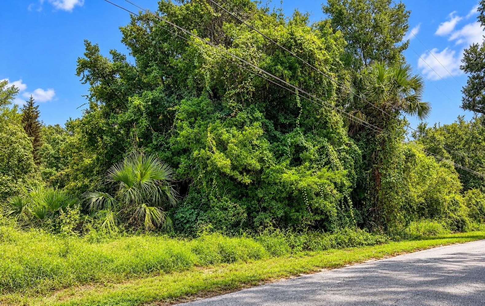 2.8 Acres - 26714 BLOOMFIELD AVE, YALAHA