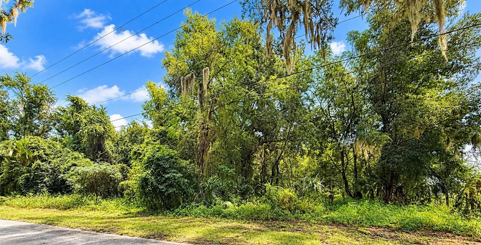 2.8 Acres - 26714 BLOOMFIELD AVE, YALAHA