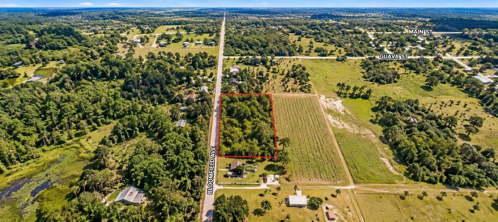 2.8 Acres - 26714 BLOOMFIELD AVE, YALAHA