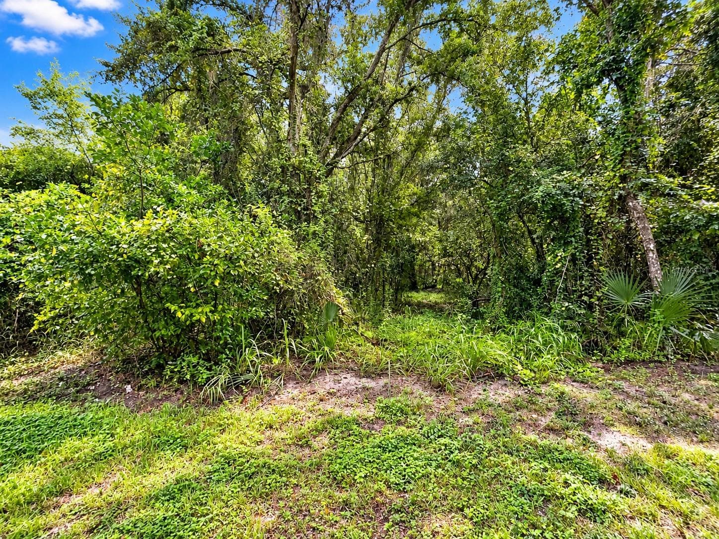 2.8 Acres - 26714 BLOOMFIELD AVE, YALAHA