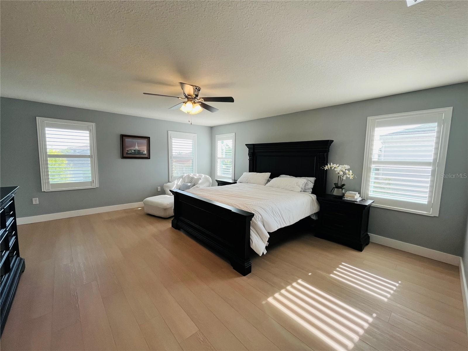 Master Bedroom - 14037 PECAN ORCHARD DR, WINTER GARDEN