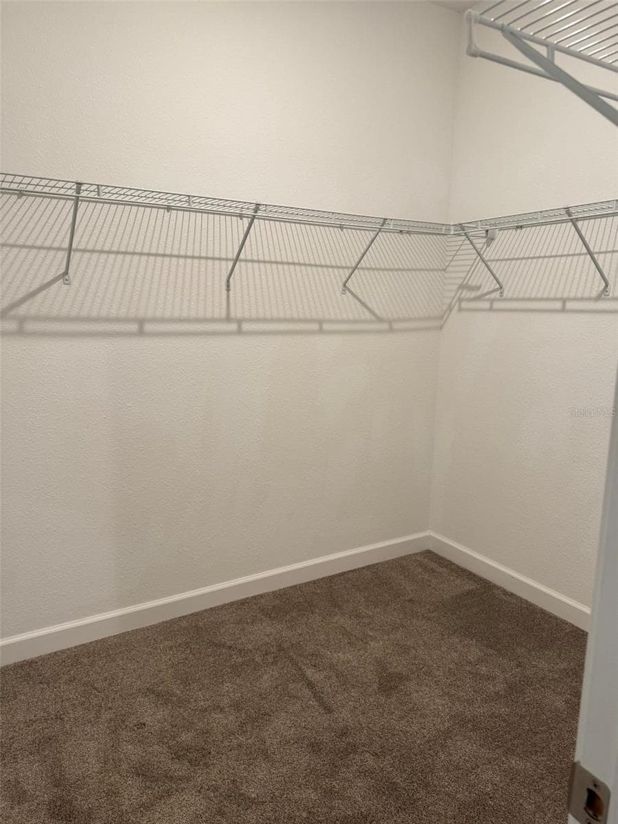 Primary Suite 2 Walk In Closet - 3622 PINE RIBBON DR, LAND O LAKES