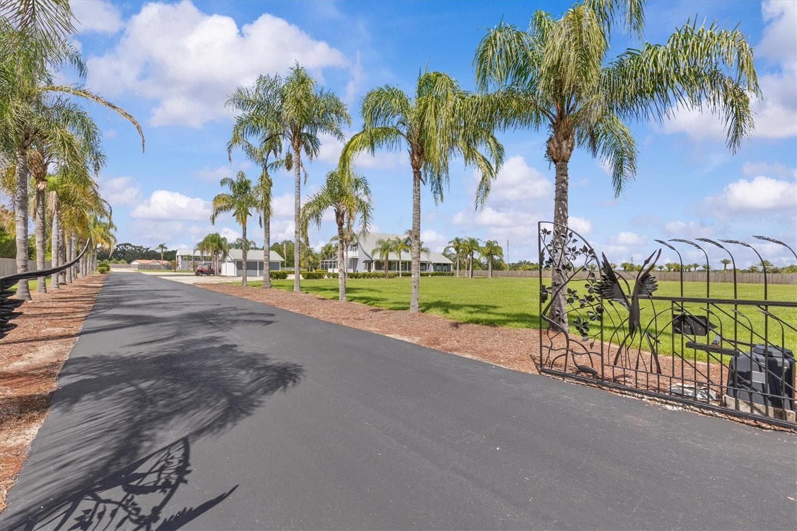 Driveway - 195 SPRING LAKE HWY, BROOKSVILLE