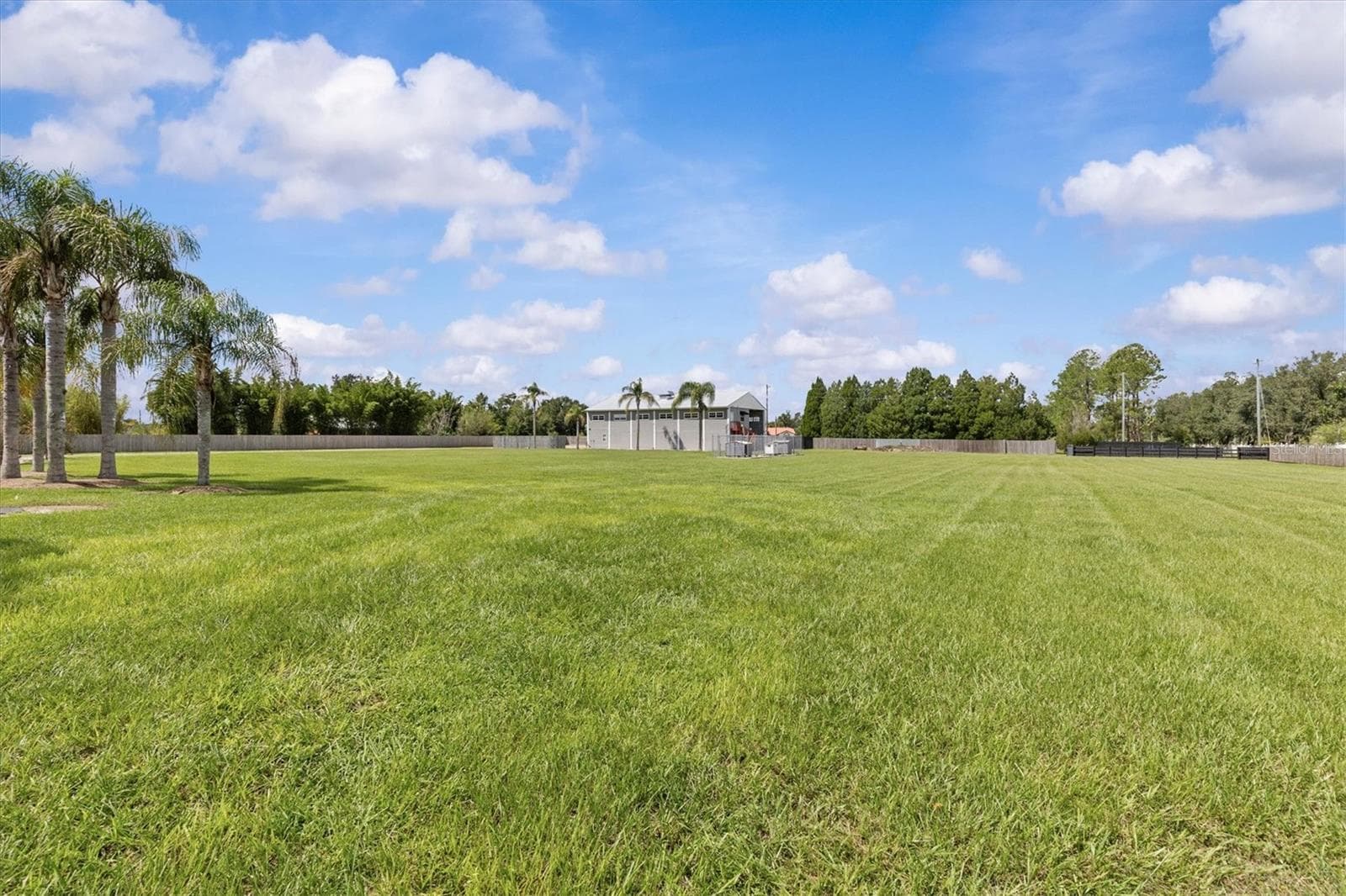 Backyard - 195 SPRING LAKE HWY, BROOKSVILLE