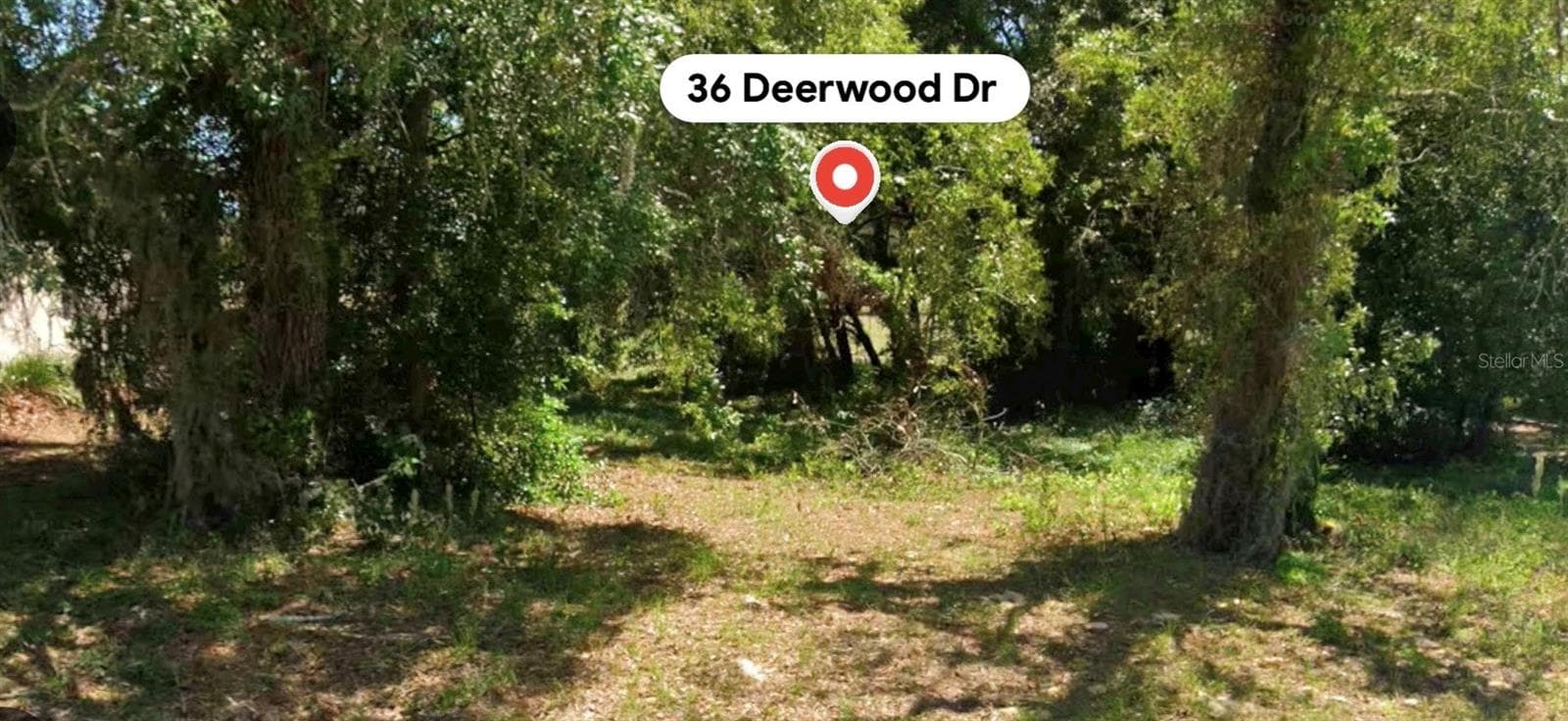 Land at 36 DEERWOOD DR, HOMOSASSA, photo 7 of 21