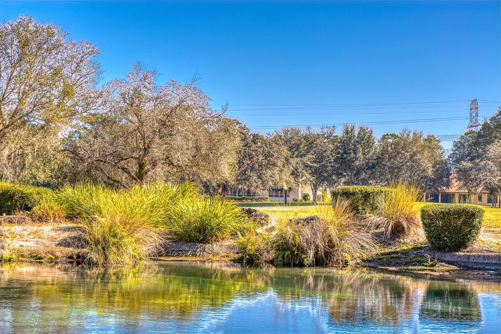 Land at 36 DEERWOOD DR, HOMOSASSA, photo 13 of 21