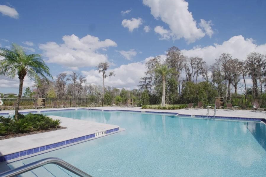 Community Pool - 13541 PARKFIELD WAY, WINTER GARDEN