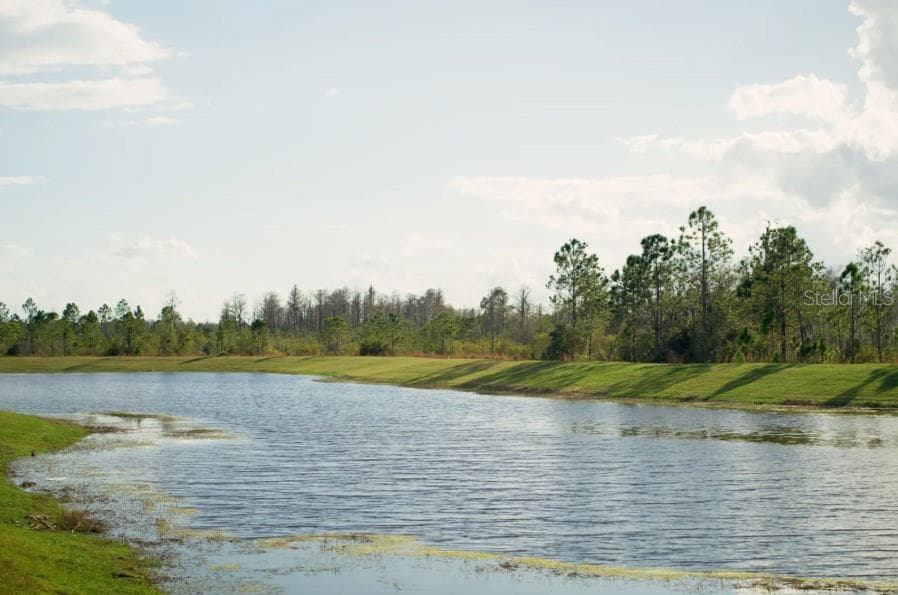 Scenic Pond View - 13541 PARKFIELD WAY, WINTER GARDEN