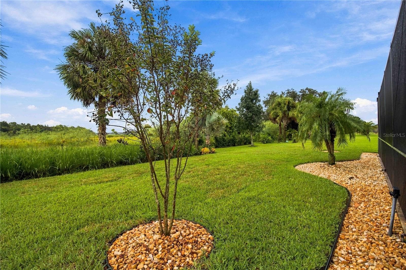 Well-Manicured Backyard - 1906 151ST TER E, PARRISH
