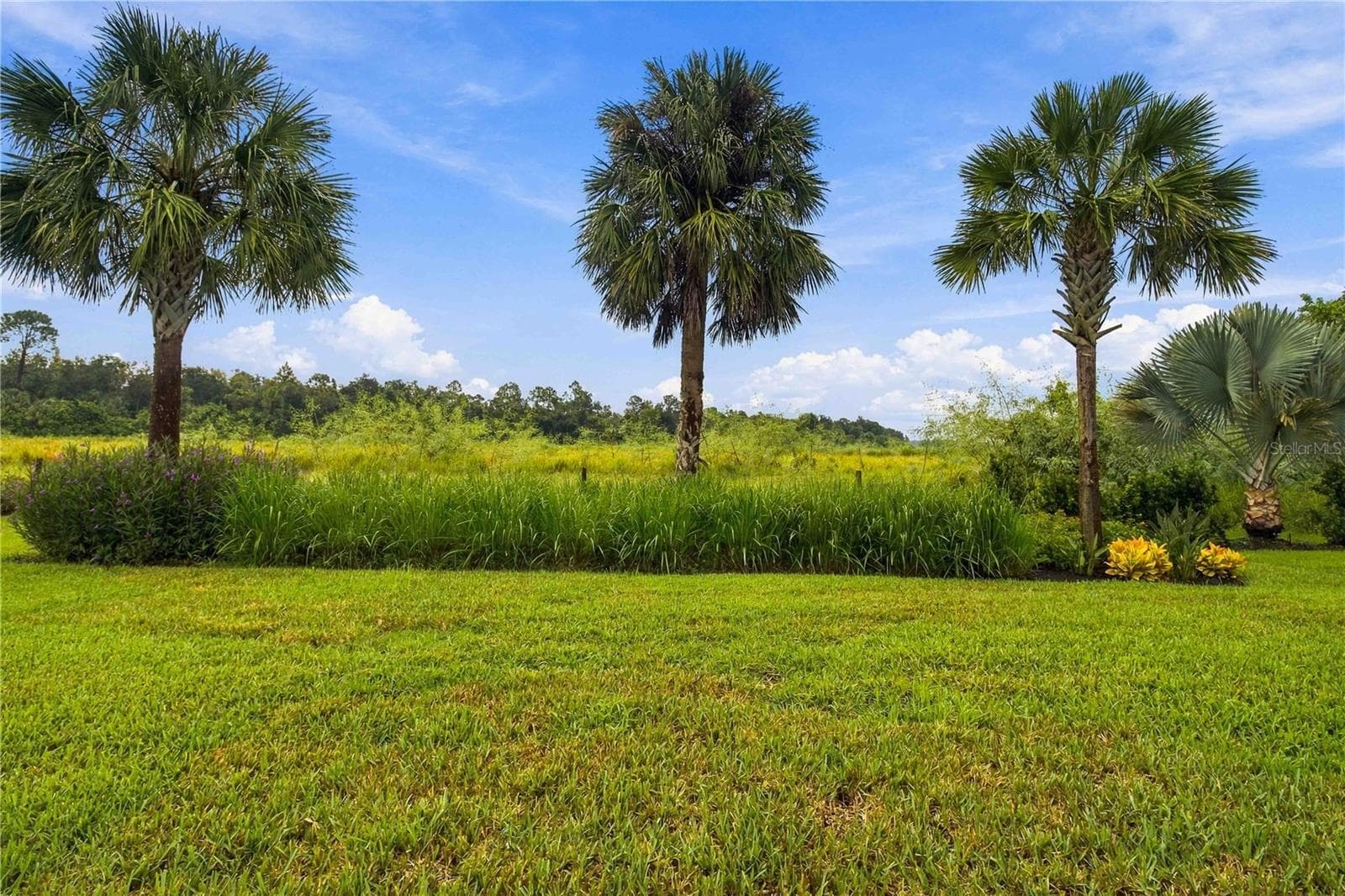 Nature-Filled Preserve Views - 1906 151ST TER E, PARRISH