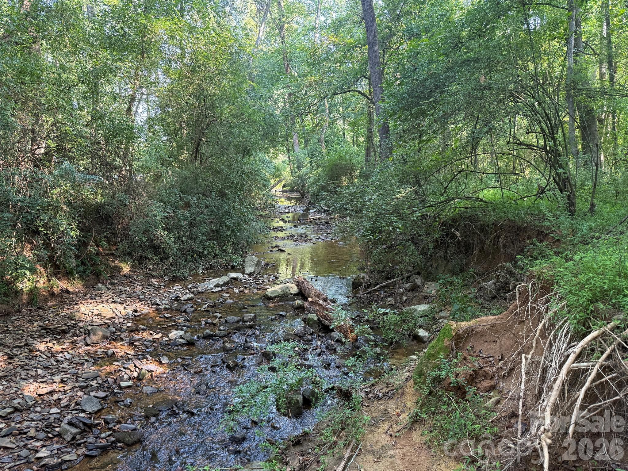 Acreage at TBD Sincerity Road, Monroe, photo 8 of 16