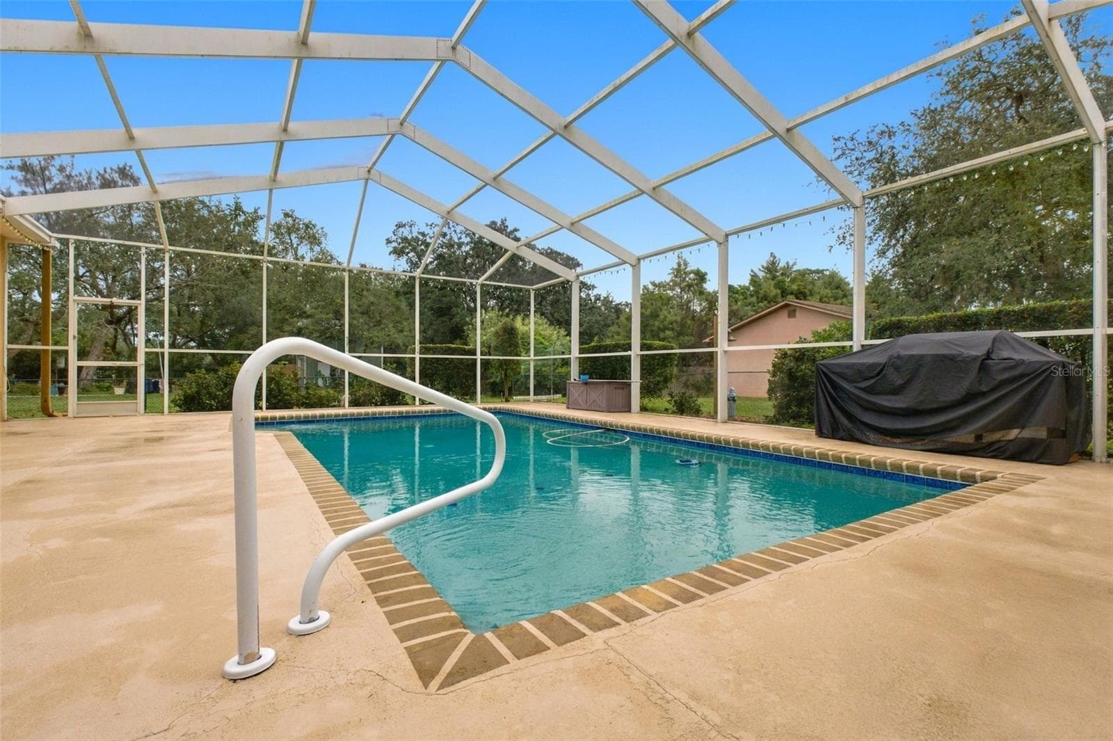 Huge pool - 1486 ALAMEDA DR, SPRING HILL