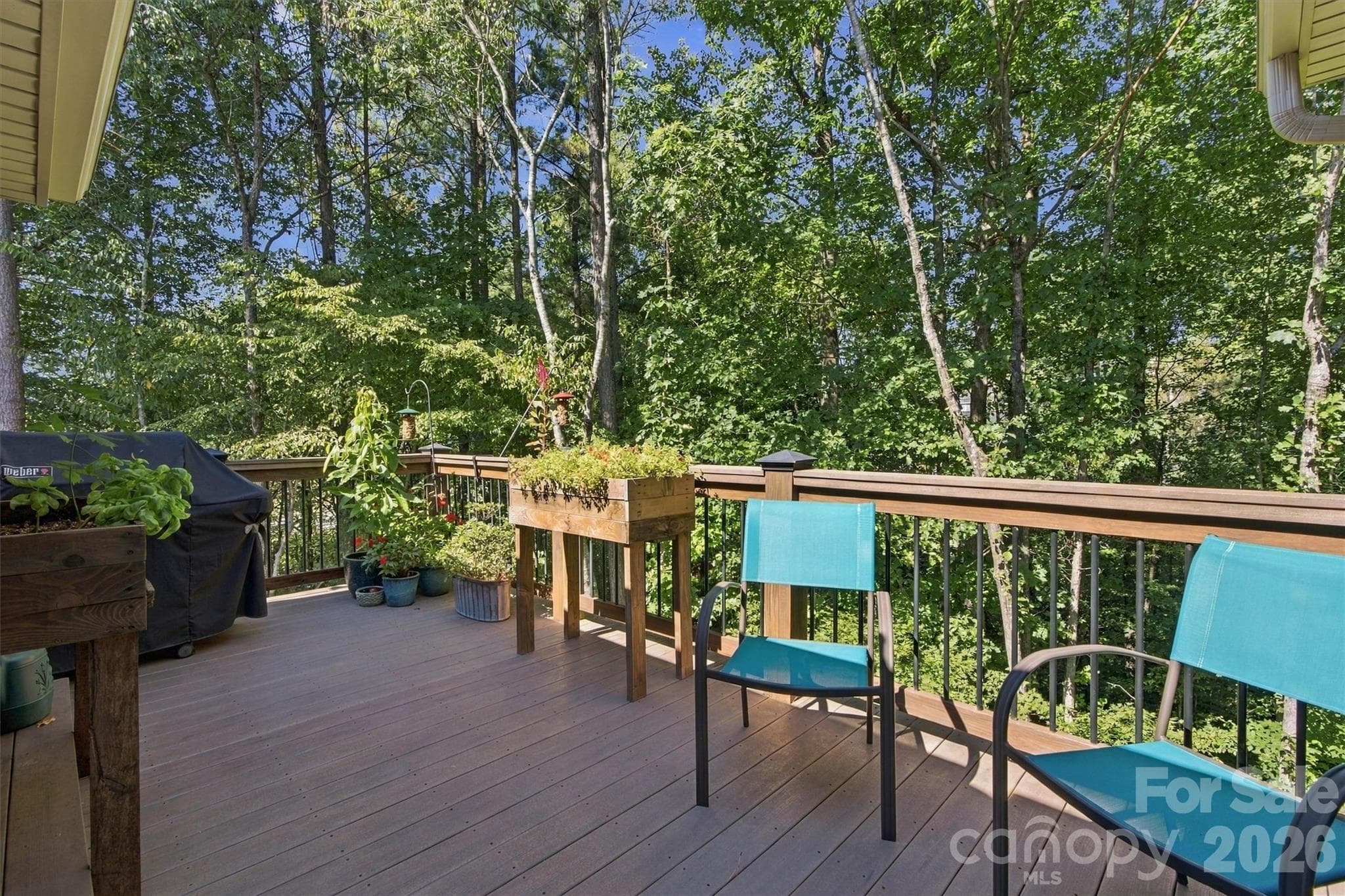 Single Family Residence at 7365 Thornblade Court, Denver, photo 29 of 38