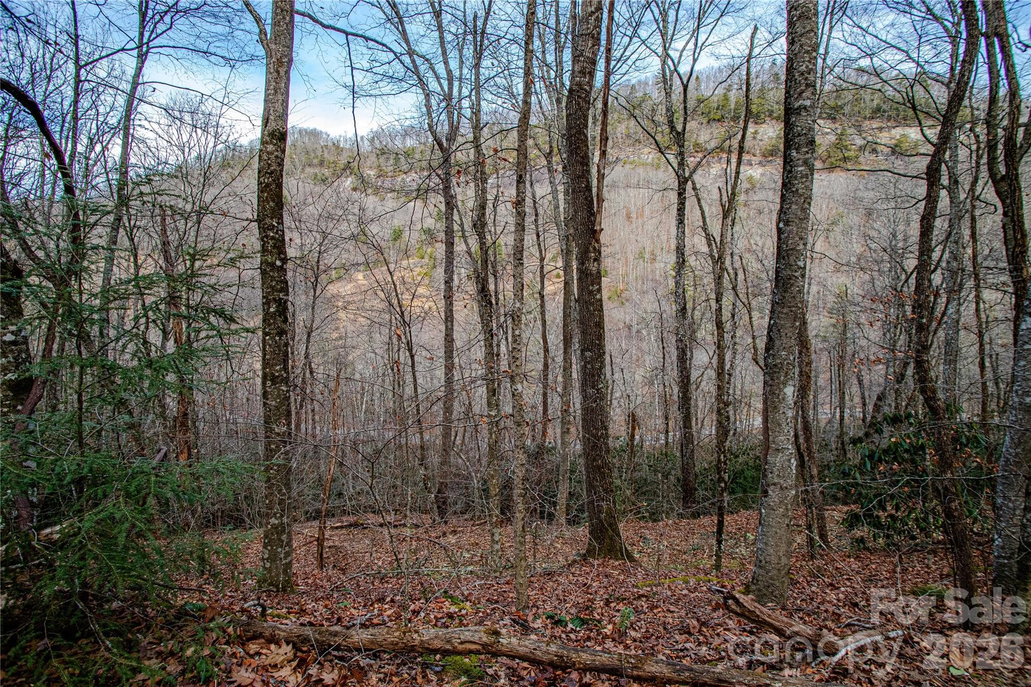 Acreage at TBD Tannassee Creek Road, Tuckasegee, photo 10 of 64