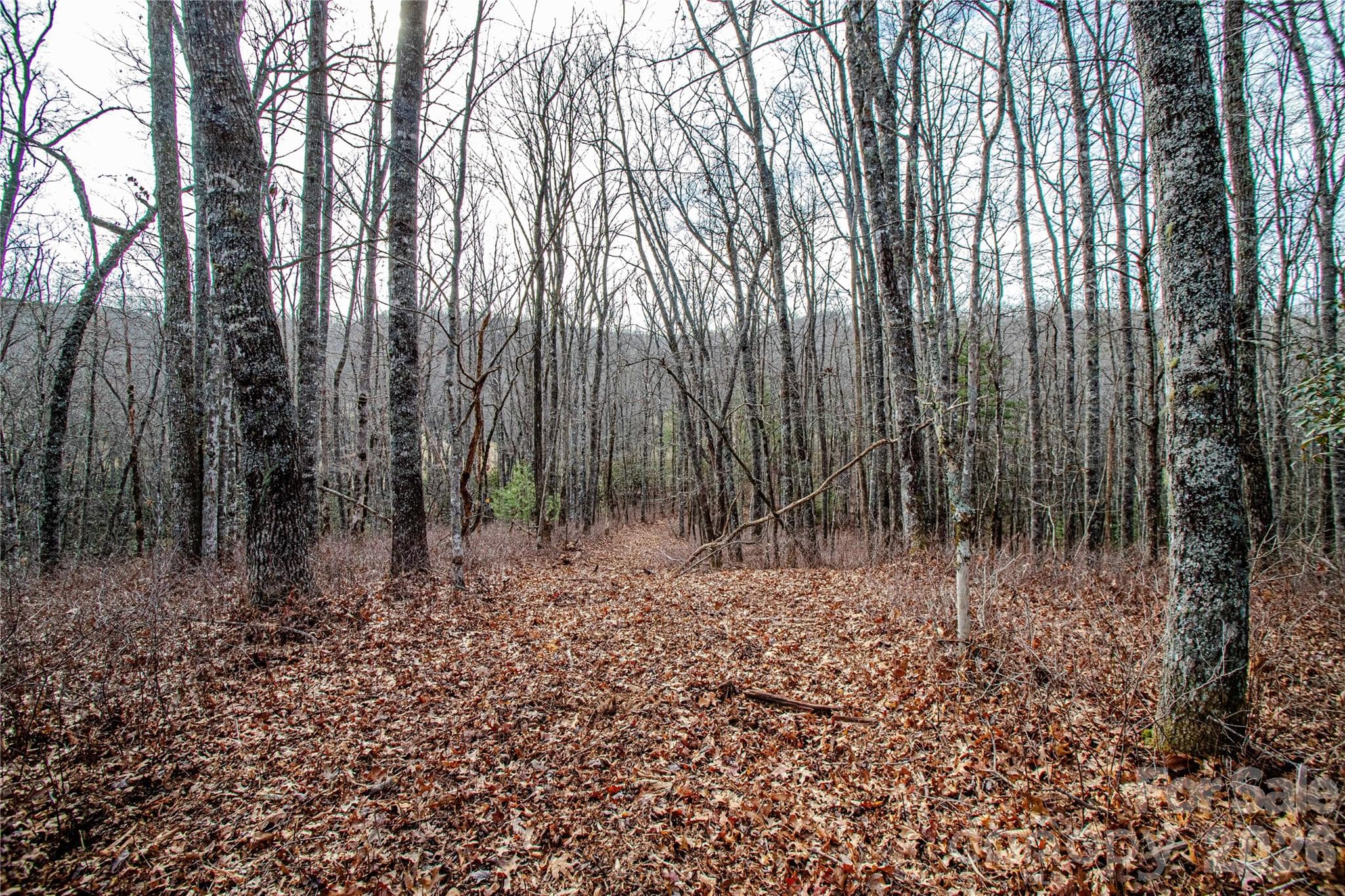 Acreage at TBD Tannassee Creek Road, Tuckasegee, photo 26 of 64