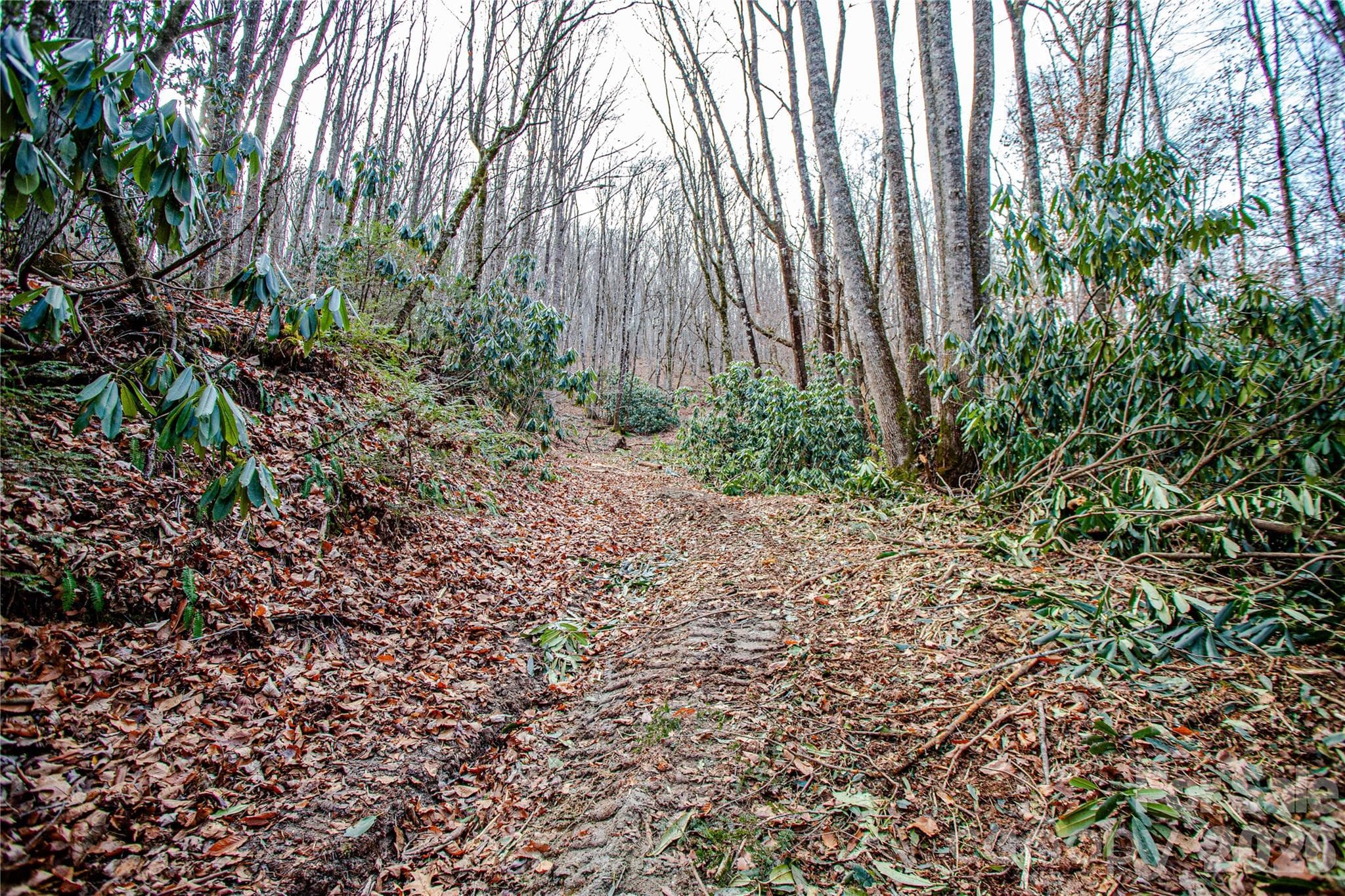Acreage at TBD Tannassee Creek Road, Tuckasegee, photo 30 of 64