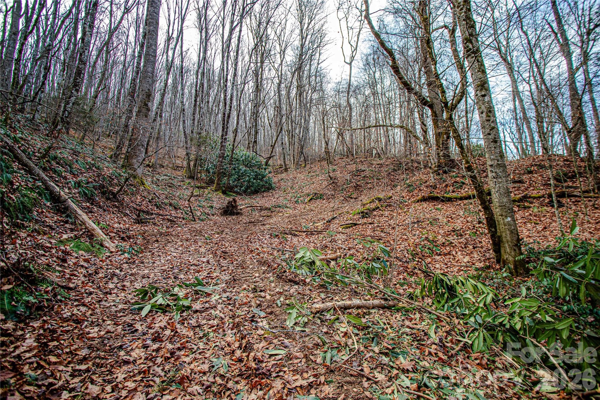 Acreage at TBD Tannassee Creek Road, Tuckasegee, photo 8 of 64