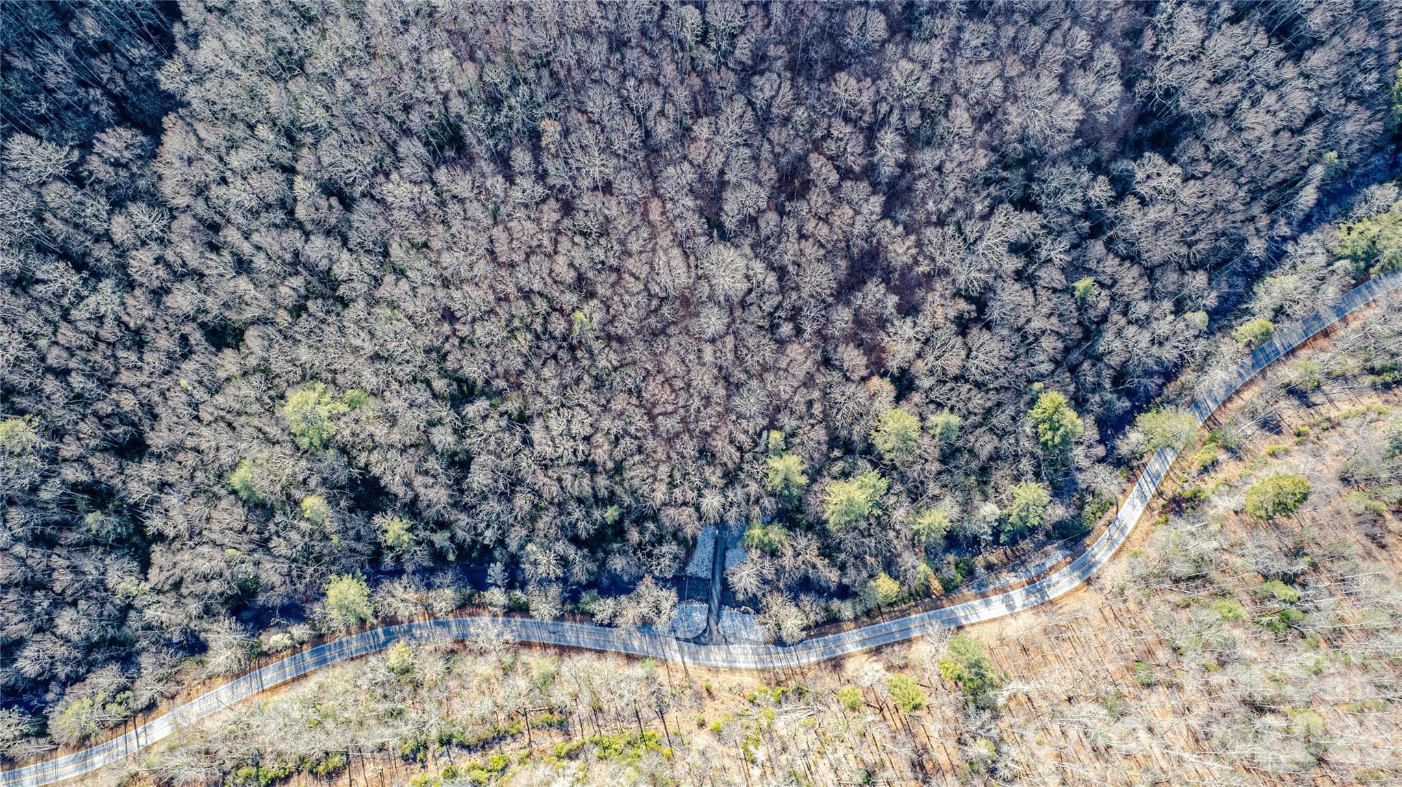Acreage at TBD Tannassee Creek Road, Tuckasegee, photo 36 of 64