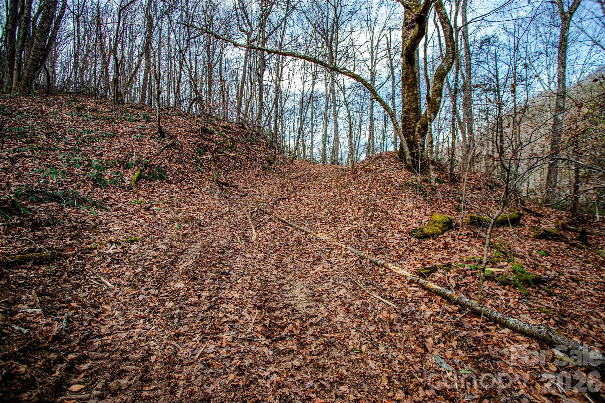 Acreage at TBD Tannassee Creek Road, Tuckasegee, photo 40 of 64