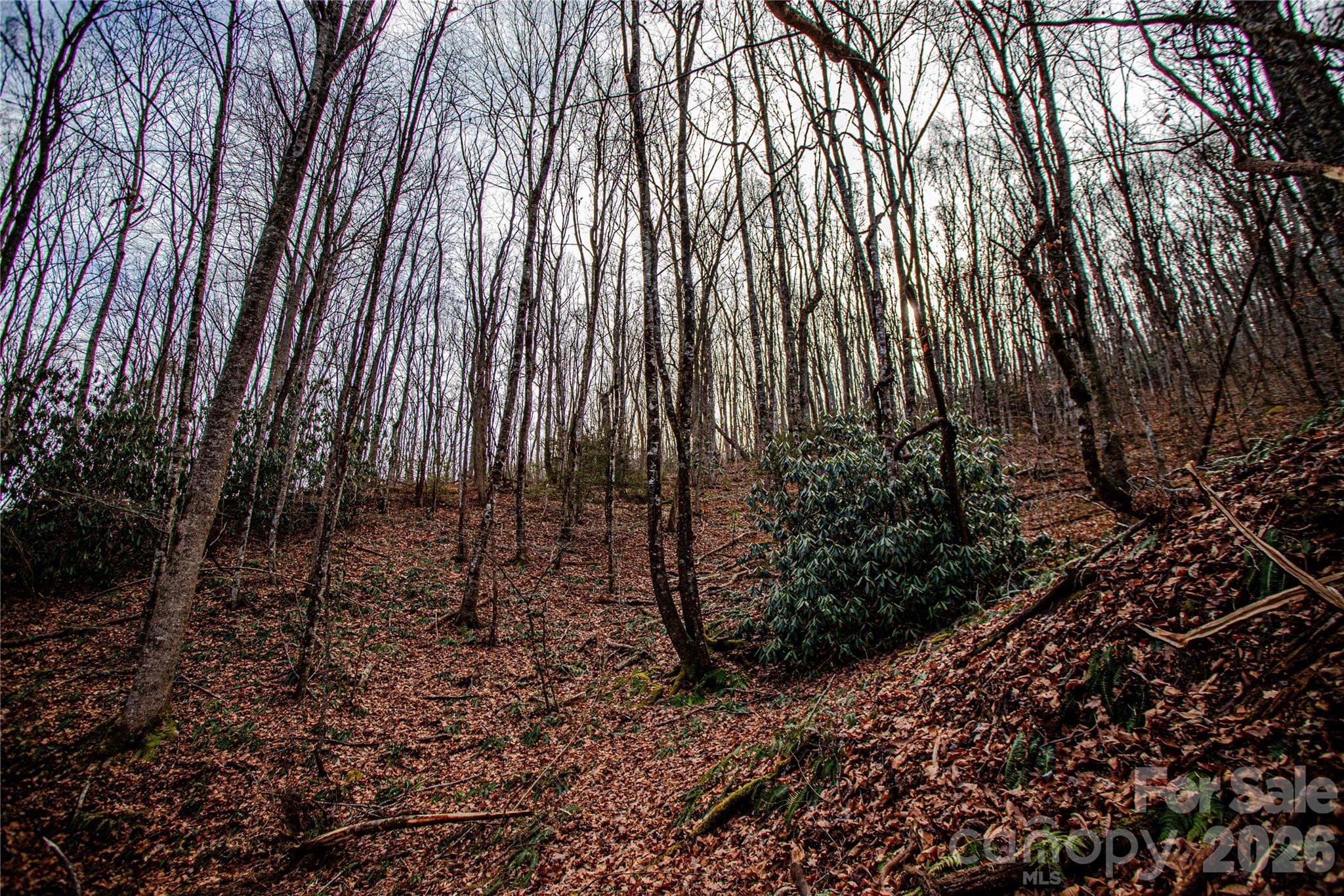 Acreage at TBD Tannassee Creek Road, Tuckasegee, photo 42 of 64