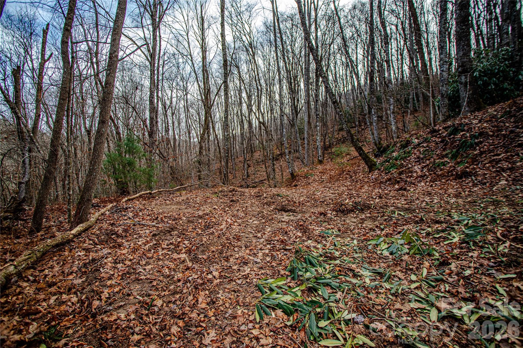 Acreage at TBD Tannassee Creek Road, Tuckasegee, photo 44 of 64