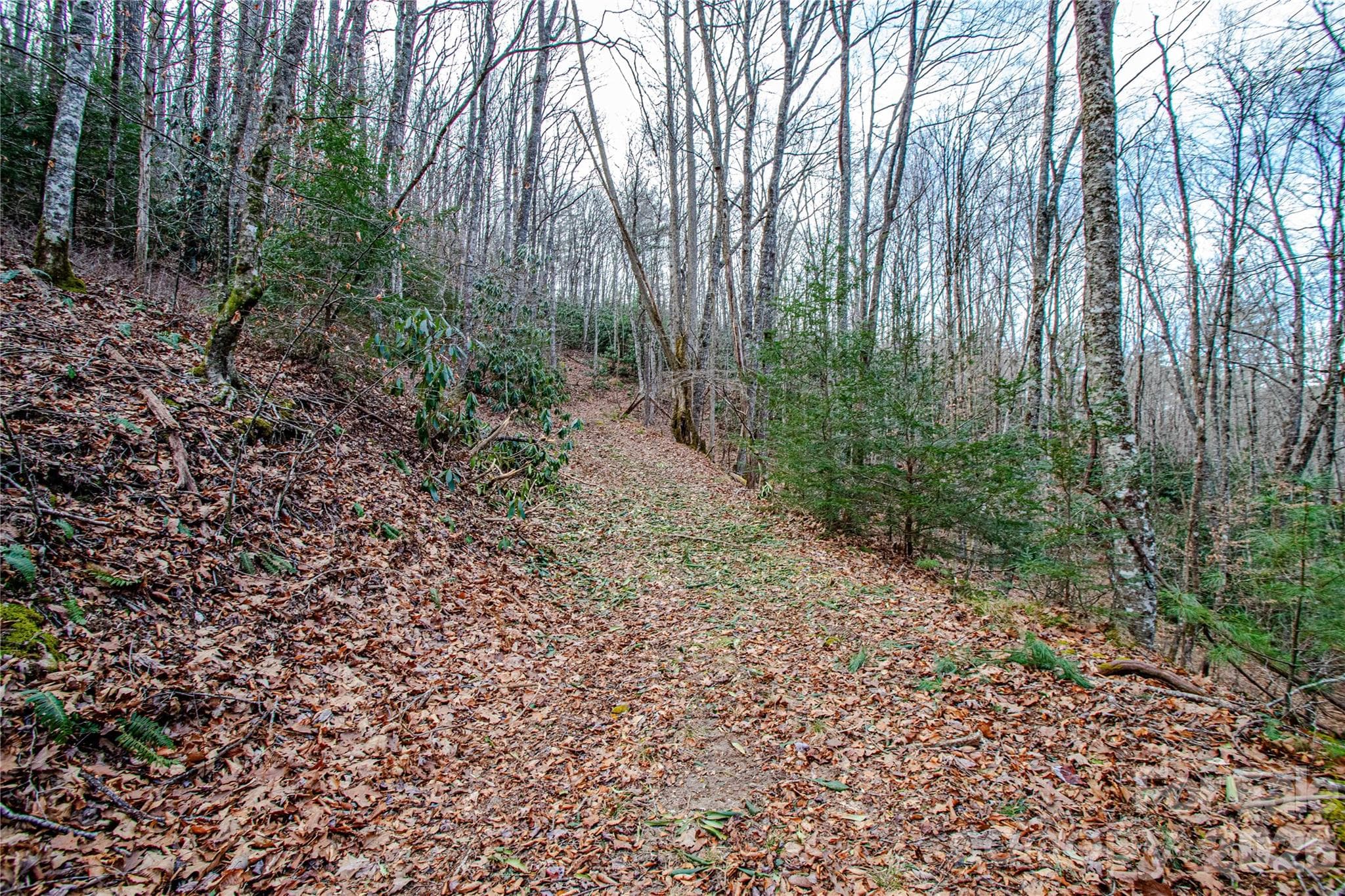 Acreage at TBD Tannassee Creek Road, Tuckasegee, photo 46 of 64