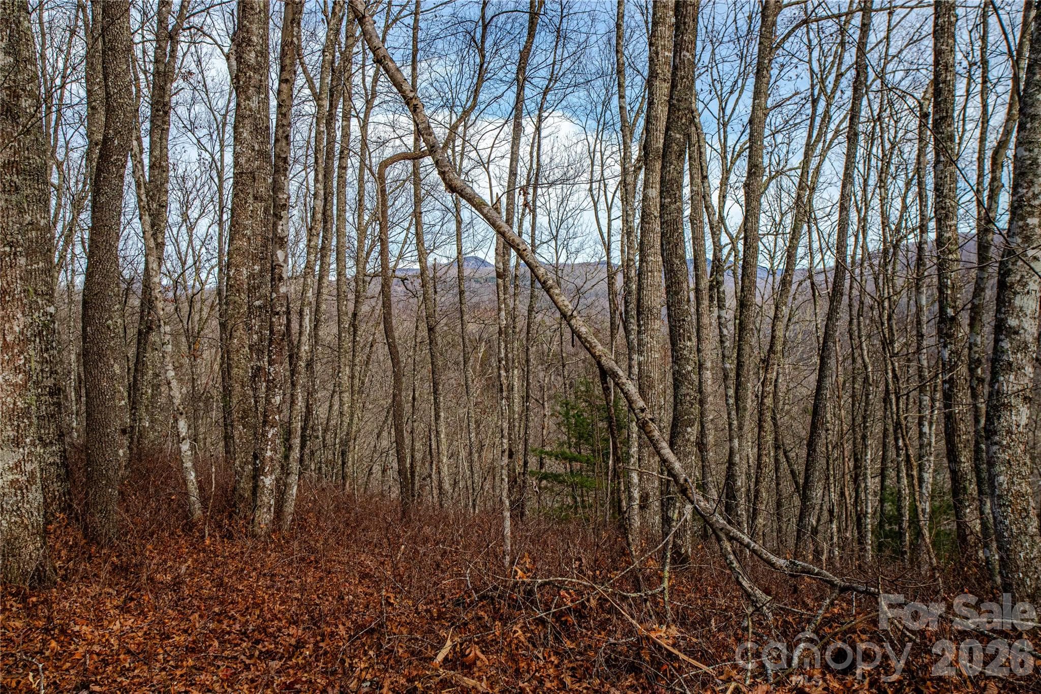 Acreage at TBD Tannassee Creek Road, Tuckasegee, photo 50 of 64