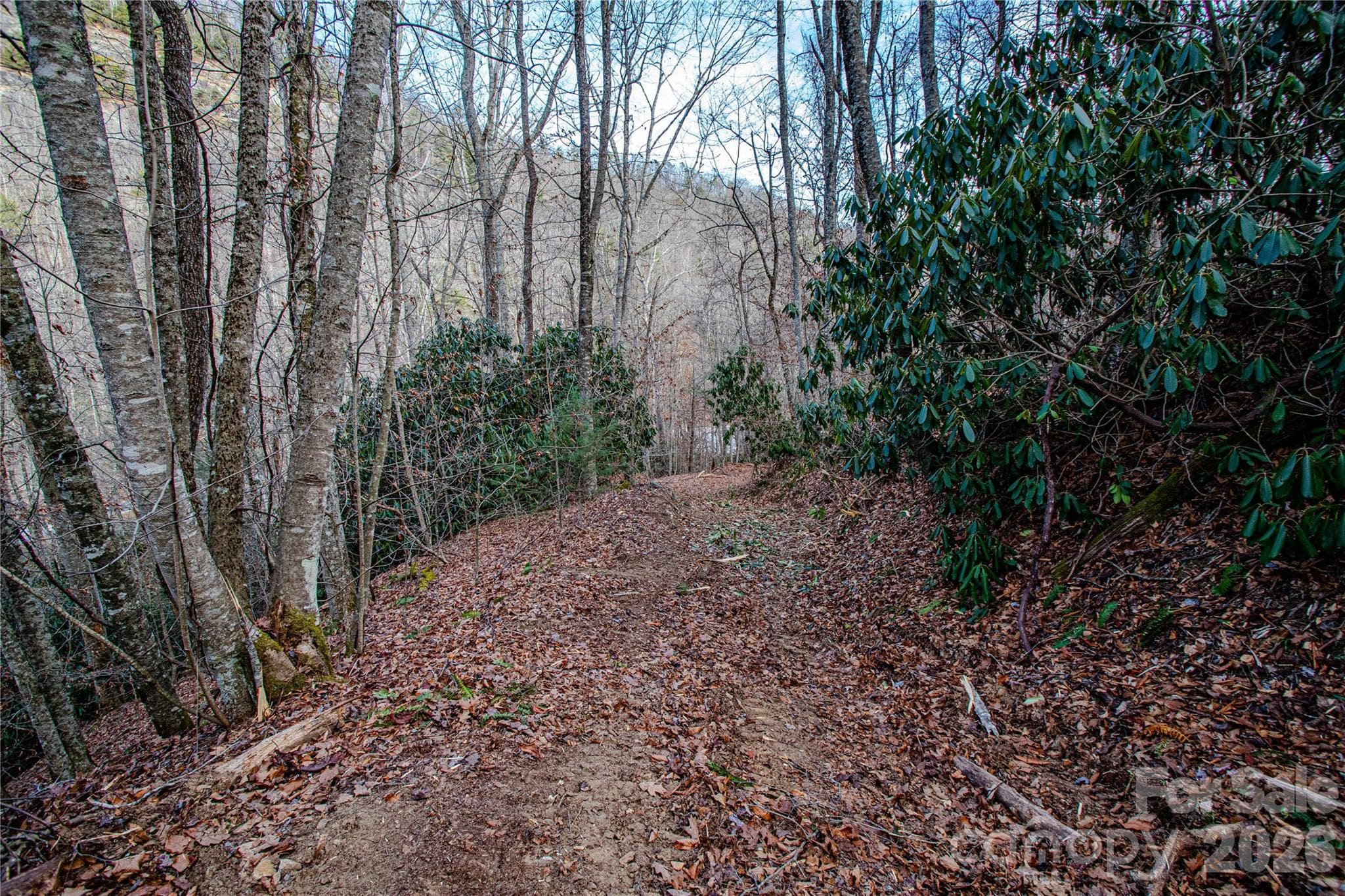 Acreage at TBD Tannassee Creek Road, Tuckasegee, photo 54 of 64