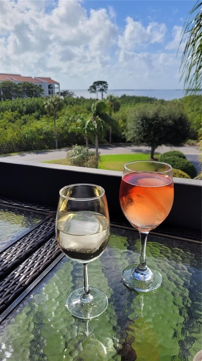 to a shared evening's glass of wine... - 1806 MARINER DR #318, TARPON SPRINGS