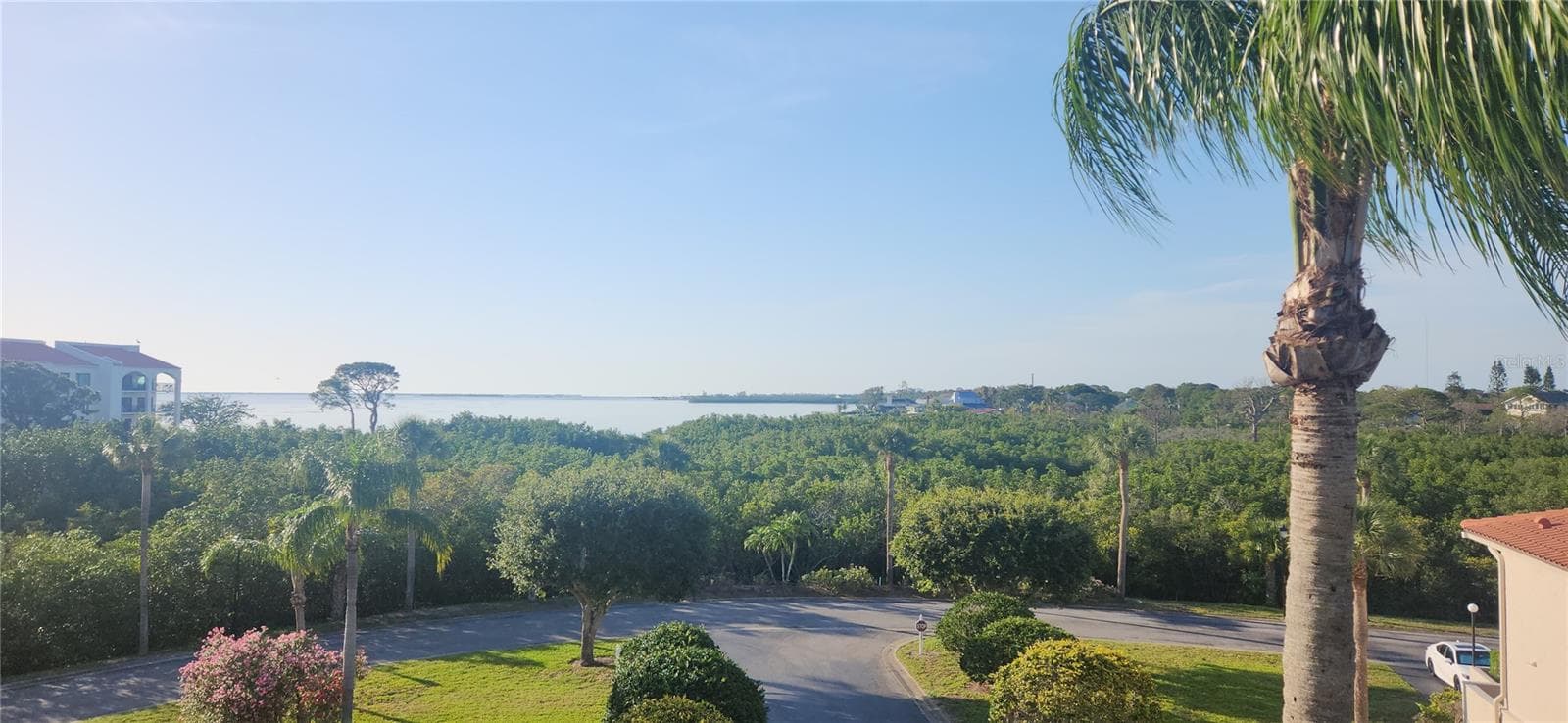 the balcony will be a favorite spot for viewing Gulf activity throughout the day... - 1806 MARINER DR #318, TARPON SPRINGS