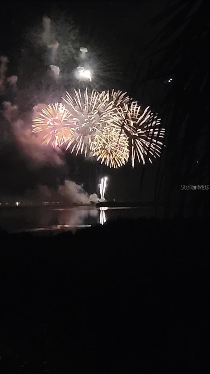 You will have the Best front row seats ever for Tarpon Springs multiple fireworks displays! - 1806 MARINER DR #318, TARPON SPRINGS