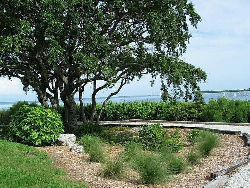 Enjoy the tranquility and serenity on a crushed shell nature path along the Gulf on your morning or evening walks. - 1806 MARINER DR #318, TARPON SPRINGS
